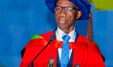 UI Don Advocates Context-Sensitive Use of Nigerian English