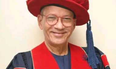 UNIMED Don, Prof. Edozien Appointed to Wigwe University Governing Council