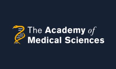 Diphtheria Cases Surge in Nigeria as Medical Academy Raises Alarm Over Low Vaccination