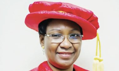 Public Varsities Need N1m Fees for Financial Independence — Ex-LASU VC