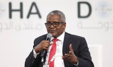 Dangote Foundation Opens 30,000 Scholarship Opportunities for University Students