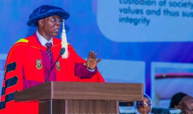 UI Don Advocates Derivatisation as Key to Advancing Analytical Chemistry and National Development