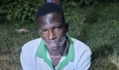 Federal University of Education Pankshin Apprehends Another Suspect Over Alleged Campus Theft