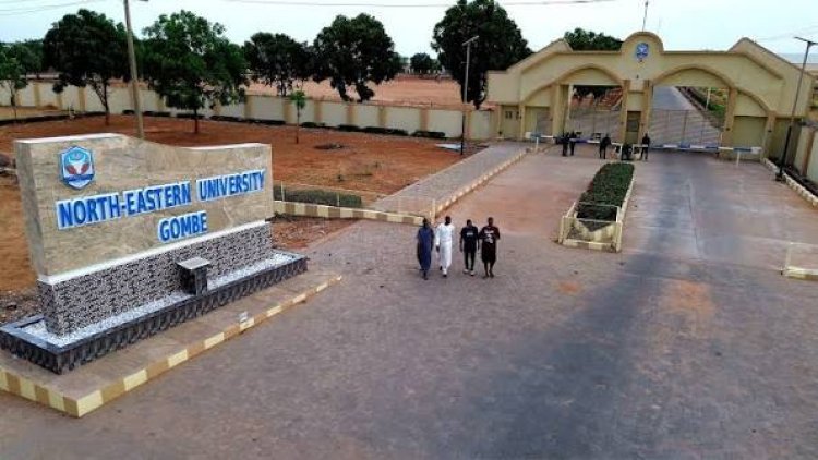 North-Eastern University Gombe Approves 40%–65% Salary Increase for Staff