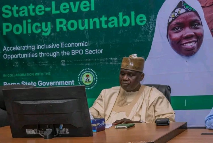 Borno Government to Partner with TTS Nigeria to Expand Digital Job Opportunities