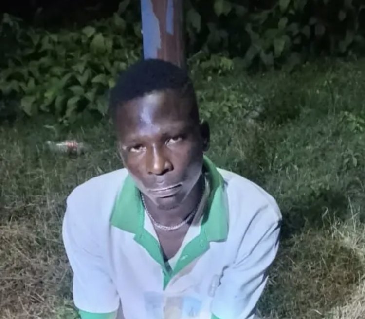 Federal University of Education Pankshin Apprehends Another Suspect Over Alleged Campus Theft