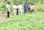 FUNAAB Pro-Chancellor Inspects 2,000-Hectare Alumni Farm as Association Pledges to Boost Nigeria’s Food Security