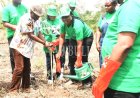 FUNAAB, Solevo, NCF Partner to Plant 500 Trees on Campus