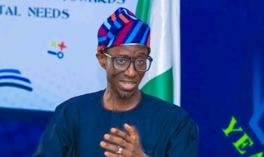 Cross-Institutional Collaboration Essential to Developing Effective Solutions, Says UI DVC