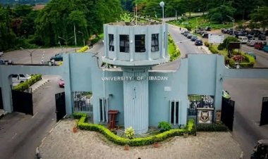 UI Remains Nigeria’s Best in New Research Ranking — Report
