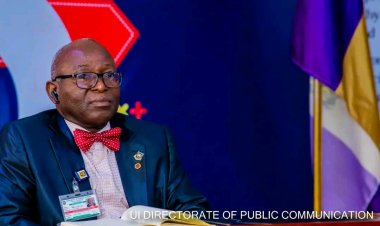 UI DVC Lauds Retiring Professor Jayeola for Promoting Academic Excellence