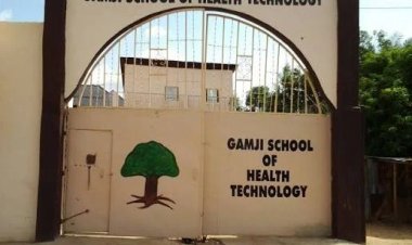 Bandits Attack Bus, Kidnap 18 Gamji College Students Travelling to Oyo