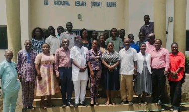 FUNAAB Researcher Identifies African Parquetina as Potential Plant-Based Alternative for Poultry Infections