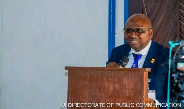The UI Project is a Continuum, Says VC
