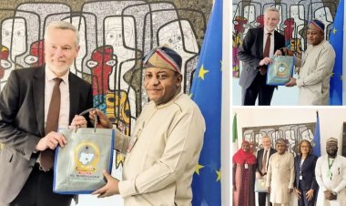 FULafia, EU Explore Research Funding, AI Collaboration