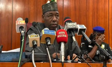 Zulum Pledges Support for Medical College at Nigerian Army University