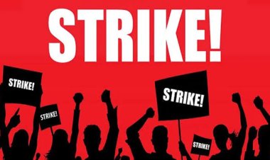 Gombe State Tertiary Institutions Shut Down as Workers Begin Indefinite Strike