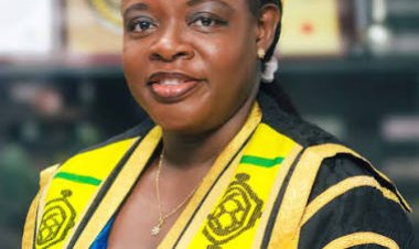 University of Ghana Vice Prof Nana Amfo Says AI Is Changing How Universities Should Assess Students