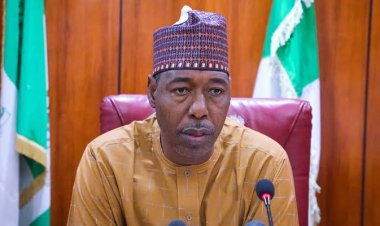 Borno Provides Free Educational Materials to 10,000 Primary, Junior Secondary Pupils
