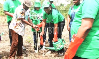 FUNAAB, Solevo, NCF Partner to Plant 500 Trees on Campus