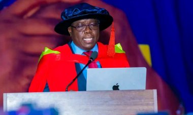 UI Professor Urges Nigeria to Establish National Newborn Screening Programme
