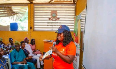 FUNATO, Dizengoff Nigeria Celebrate Farmers' Field Day in Okeho