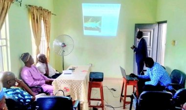 FUNAAB Researcher Explores Silver Catfish Potential for Sustainable Fisheries Management