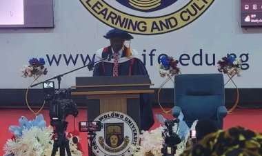 OAU Professor Ayotunde Titilayo Urges Action Against Harmful Practices Affecting Women