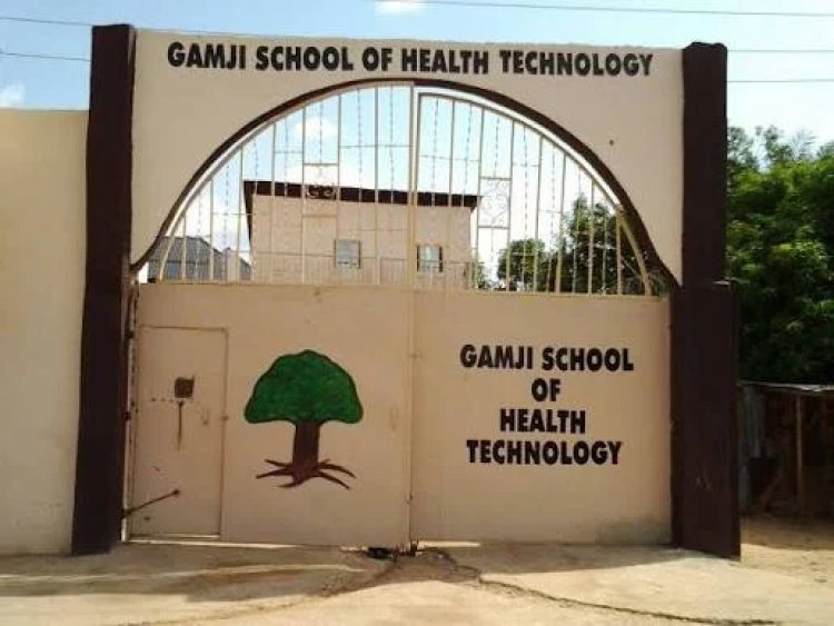 Bandits Attack Bus, Kidnap 18 Gamji College Students Travelling to Oyo
