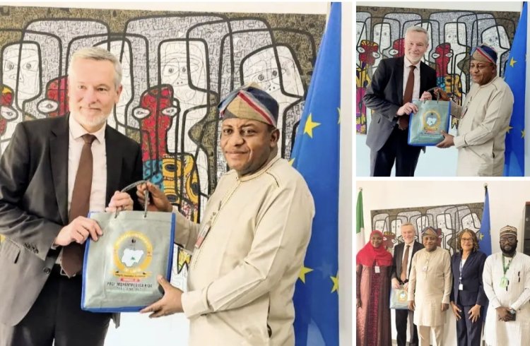 FULafia, EU Explore Research Funding, AI Collaboration