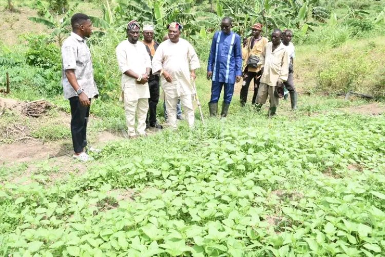 FUNAAB Pro-Chancellor Inspects 2,000-Hectare Alumni Farm as Association Pledges to Boost Nigeria’s Food Security