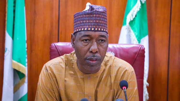 Borno Provides Free Educational Materials to 10,000 Primary, Junior Secondary Pupils