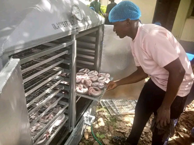 FUNAAB Unveils Improved Fish Smoking Kiln to Boost Food Security, Create Jobs