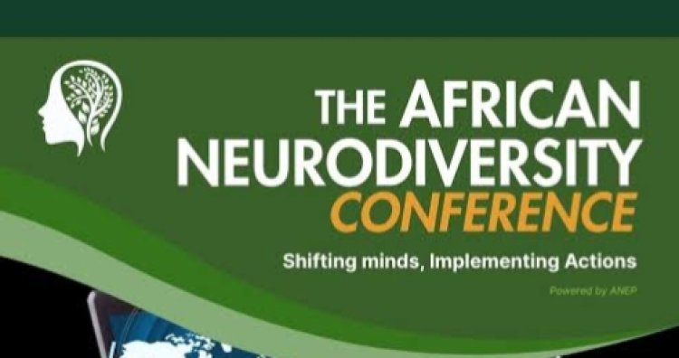 Experts Raise Alarm Over Poor Teacher Training for Autistic Children in Nigeria